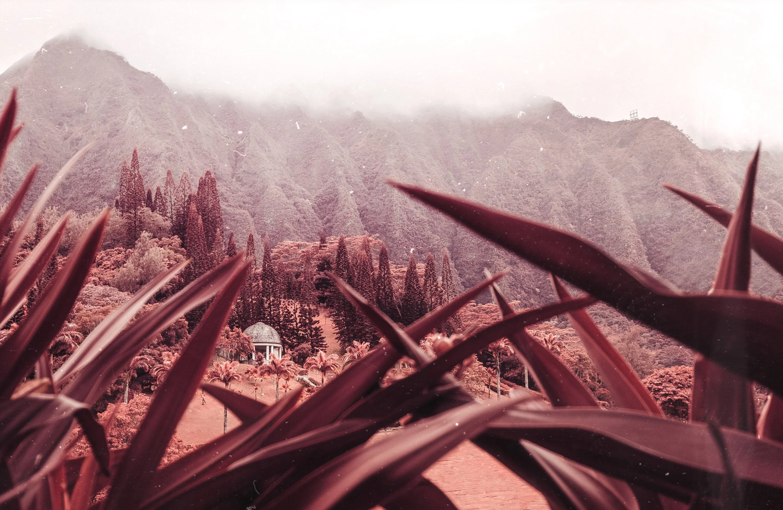 aerochrome-hawaii-11.jpg