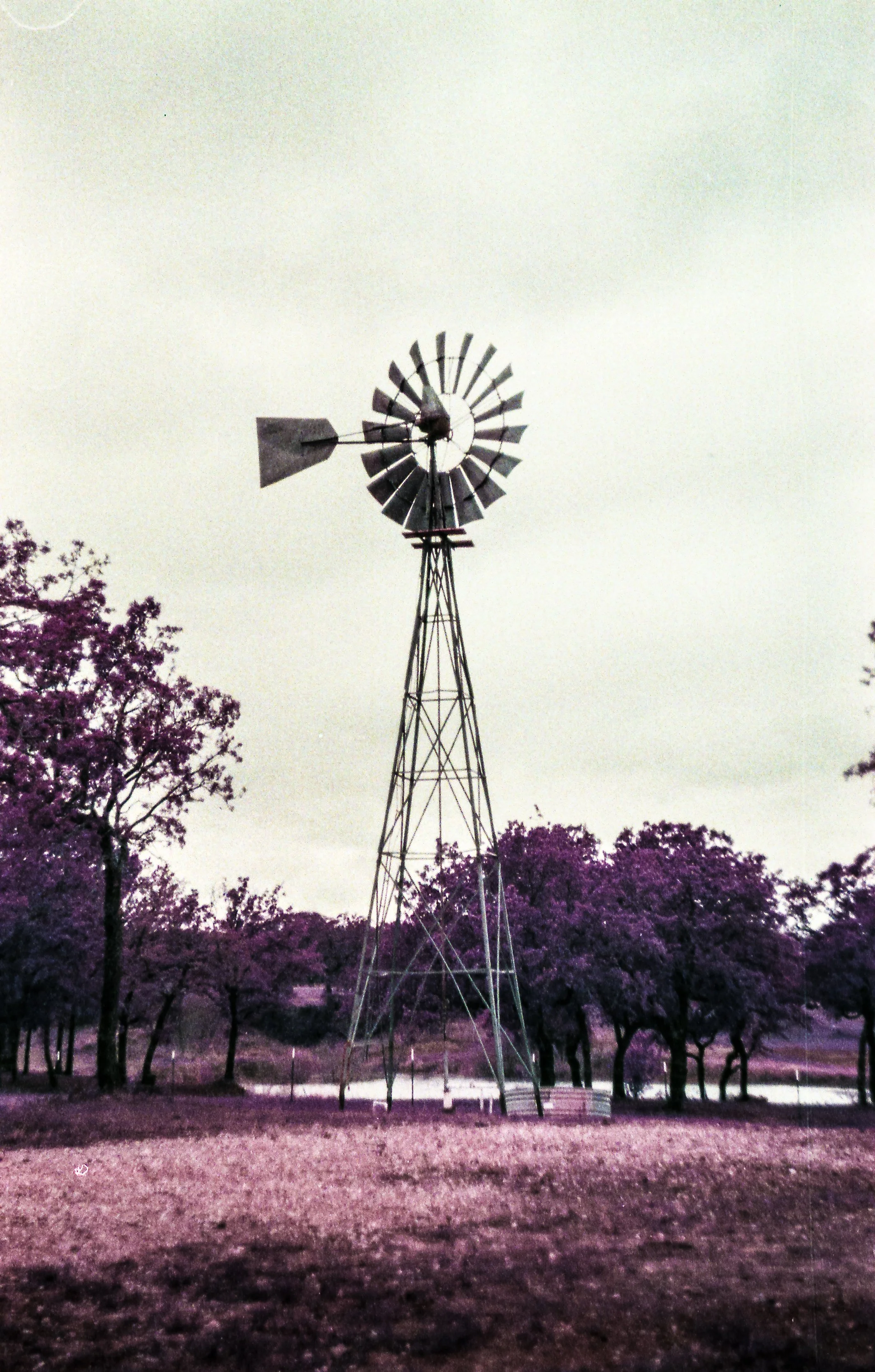 FTQL-TLOF-100.jpg