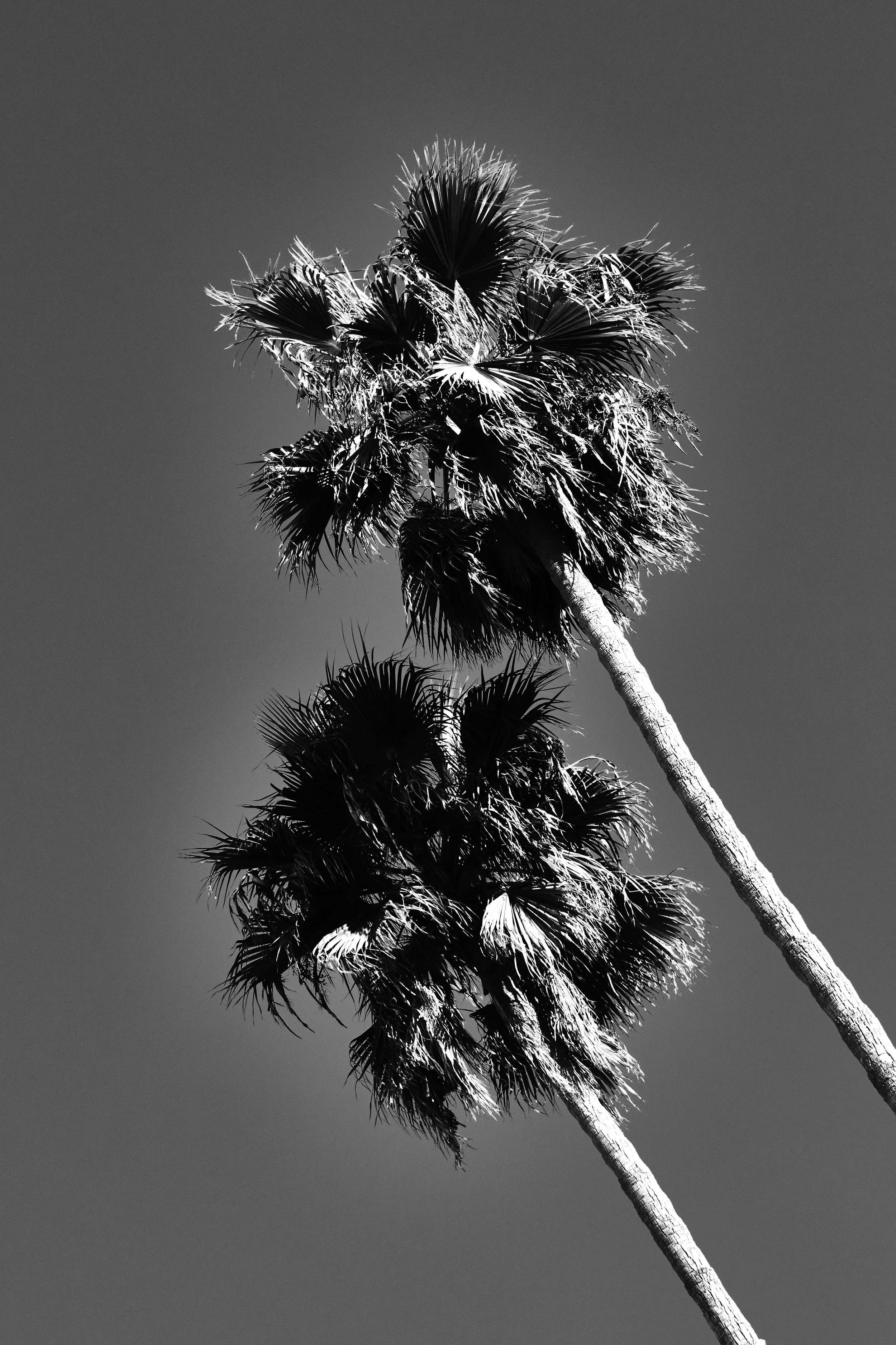 sanclemente-X-T3-Capture-031.jpg