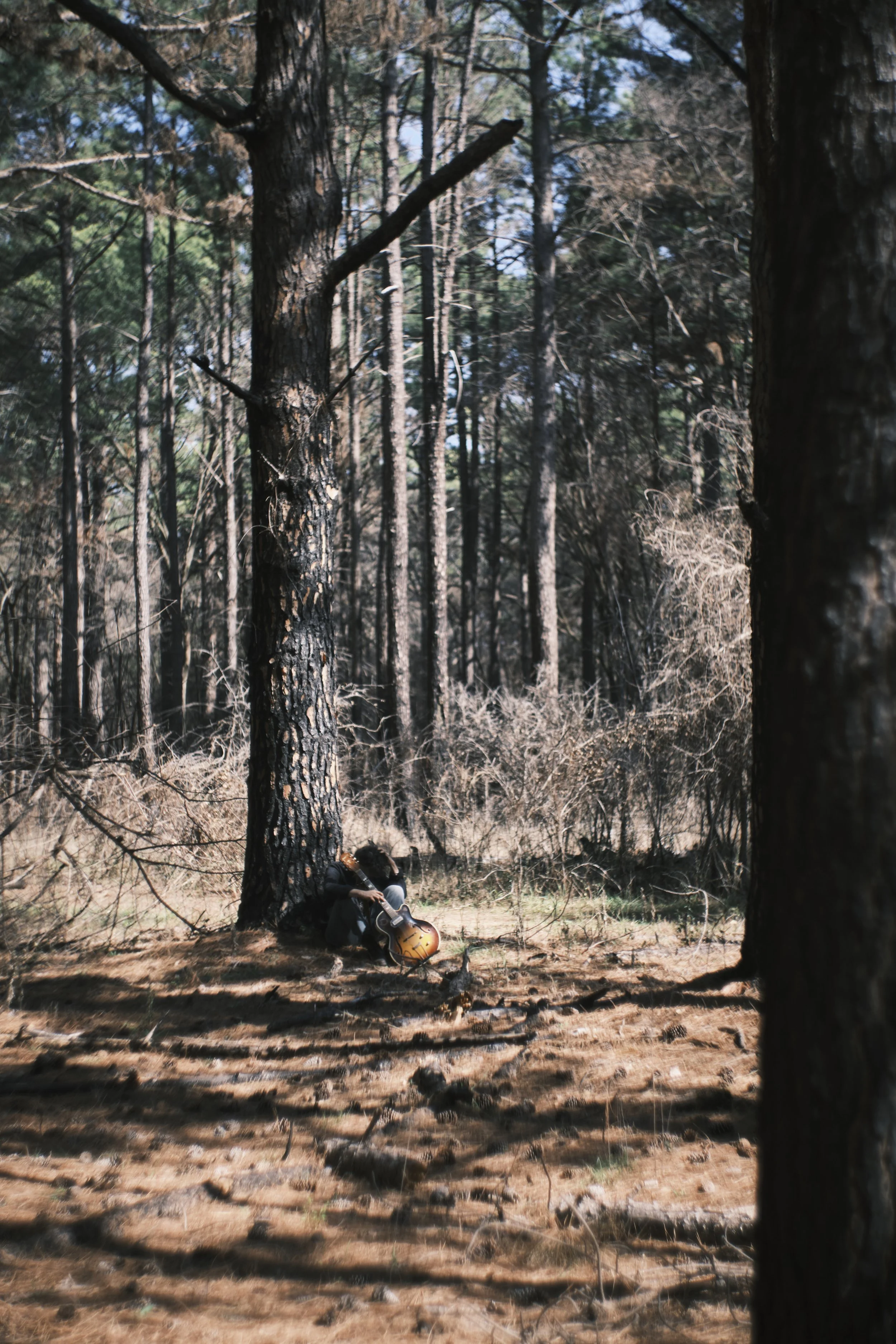 Brush-X-T3-Capture-022.jpg