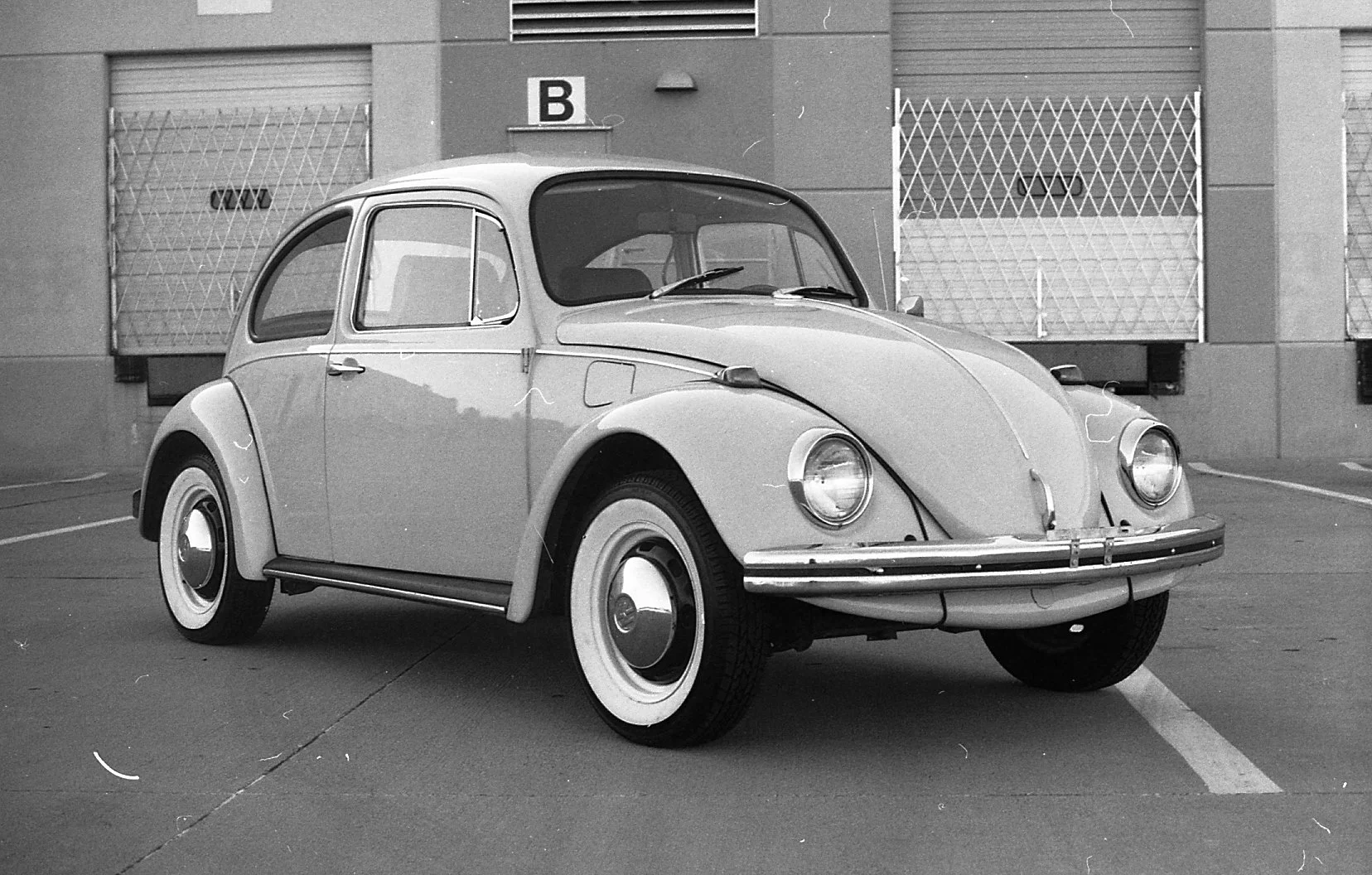 FTQL-BEETLE-1.jpg