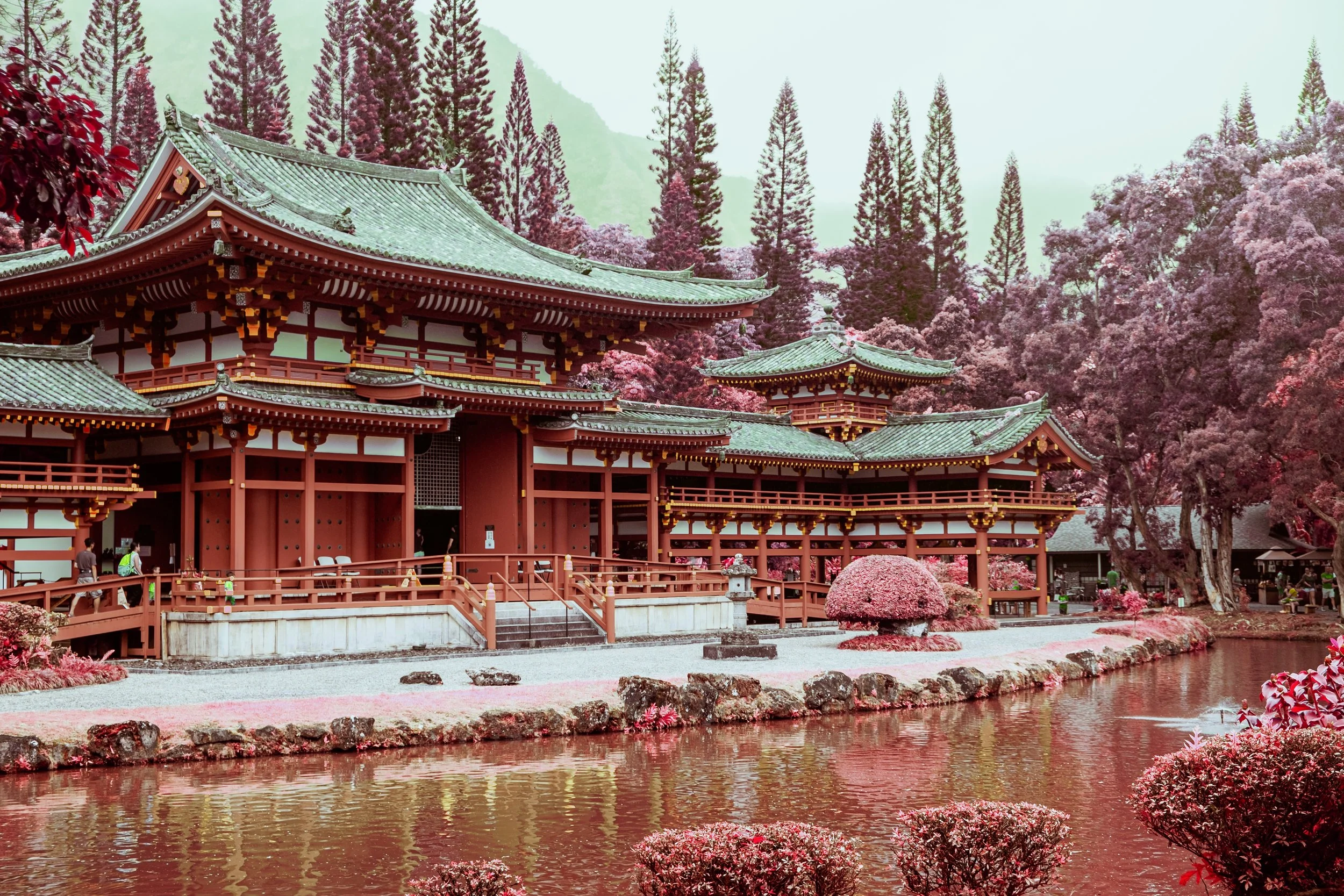 aerochrome-hawaii-20.jpg