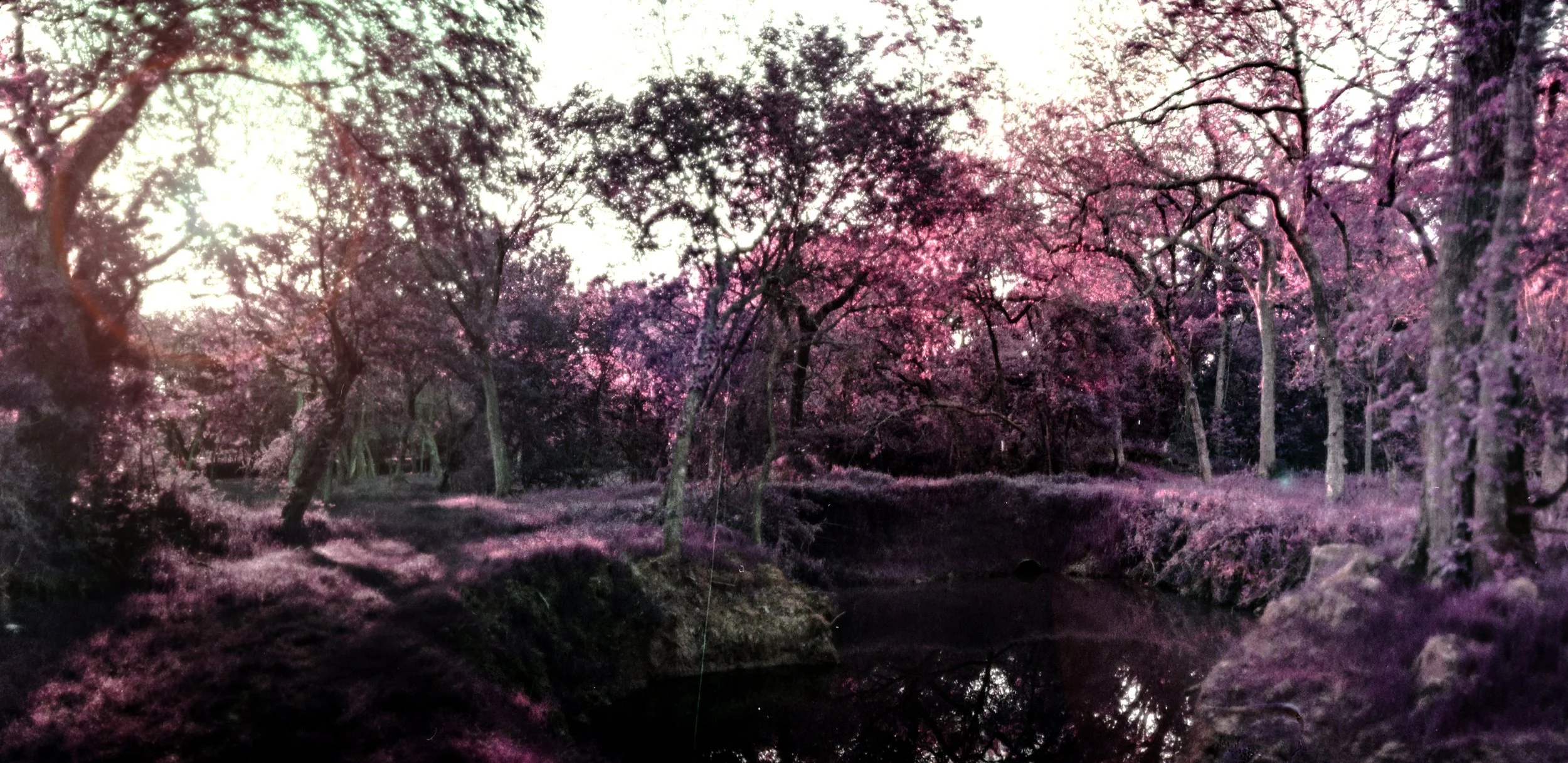 SunriseOnAnotherPlanet-Web.jpg