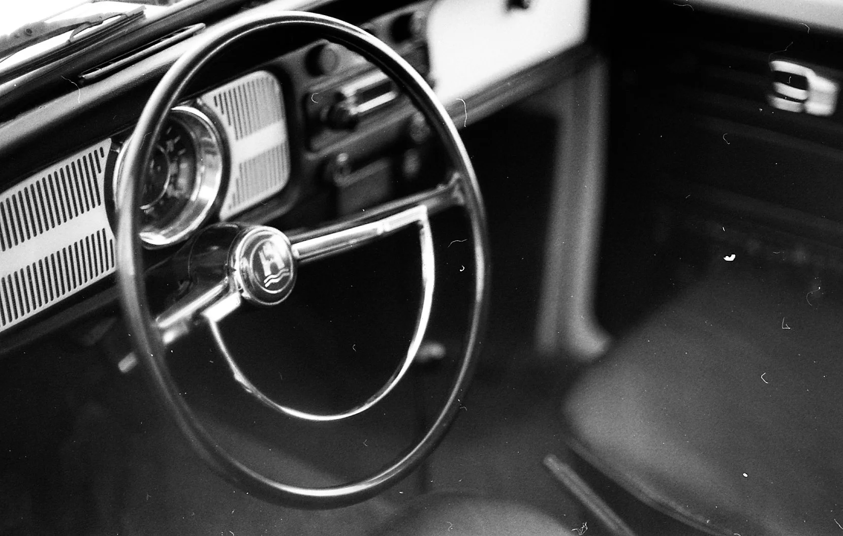 FTQL-BEETLE-13.jpg