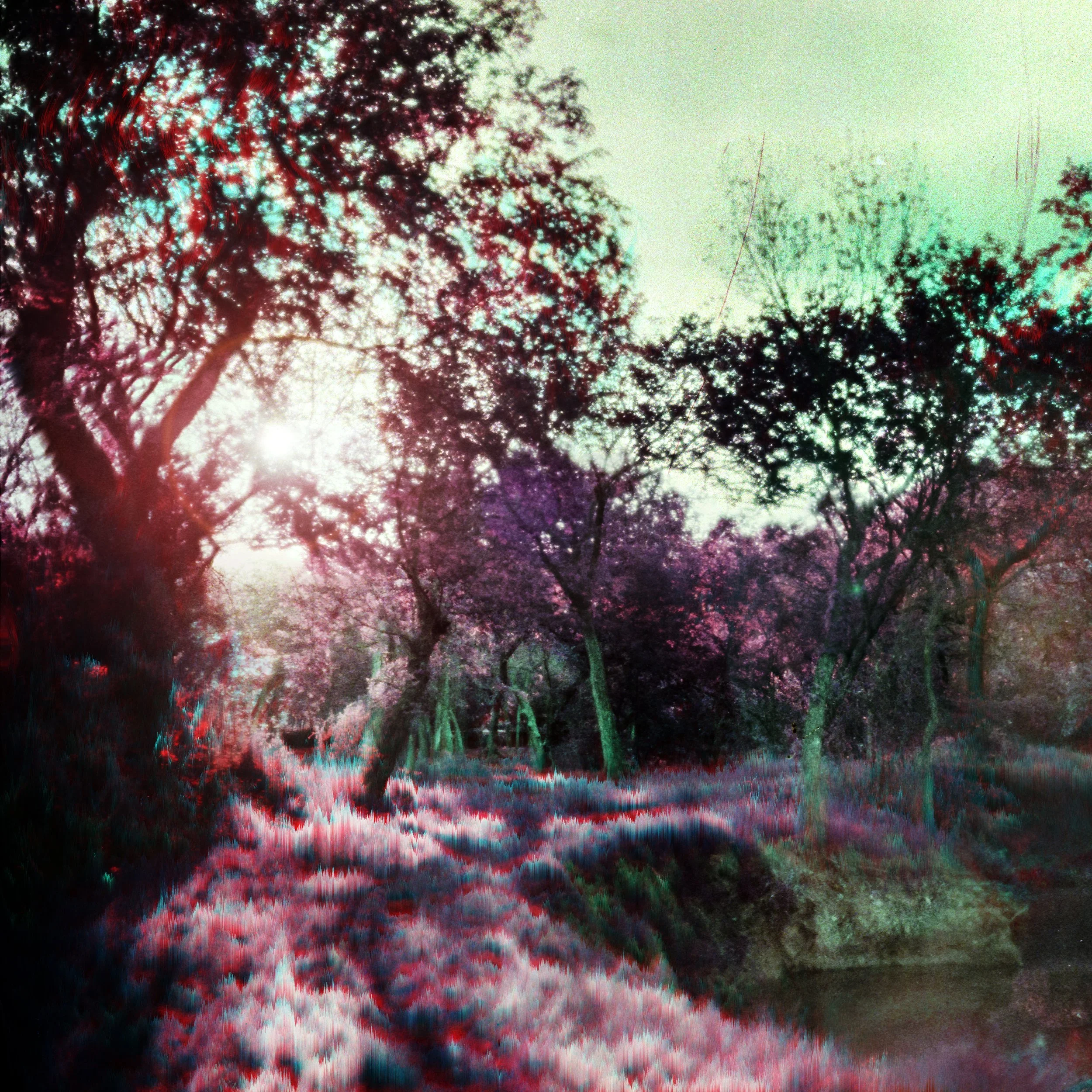 Patterns and Shadows Cover.jpg