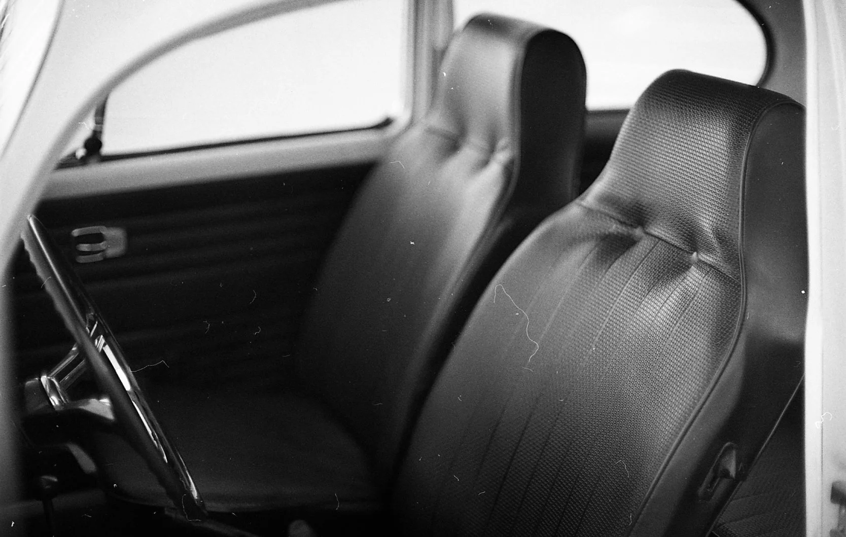 FTQL-BEETLE-16.jpg