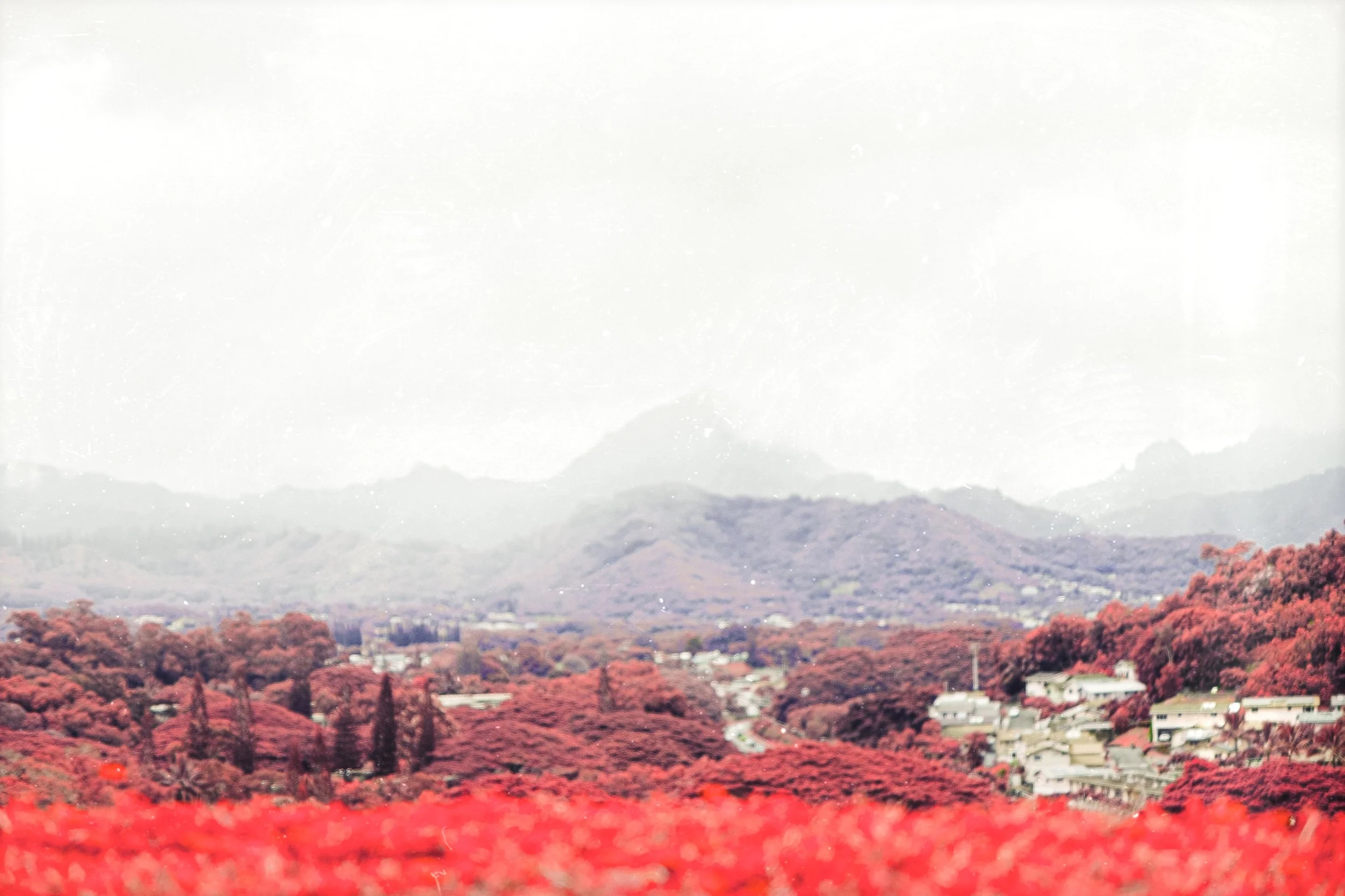 aerochrome-hawaii-13.jpg